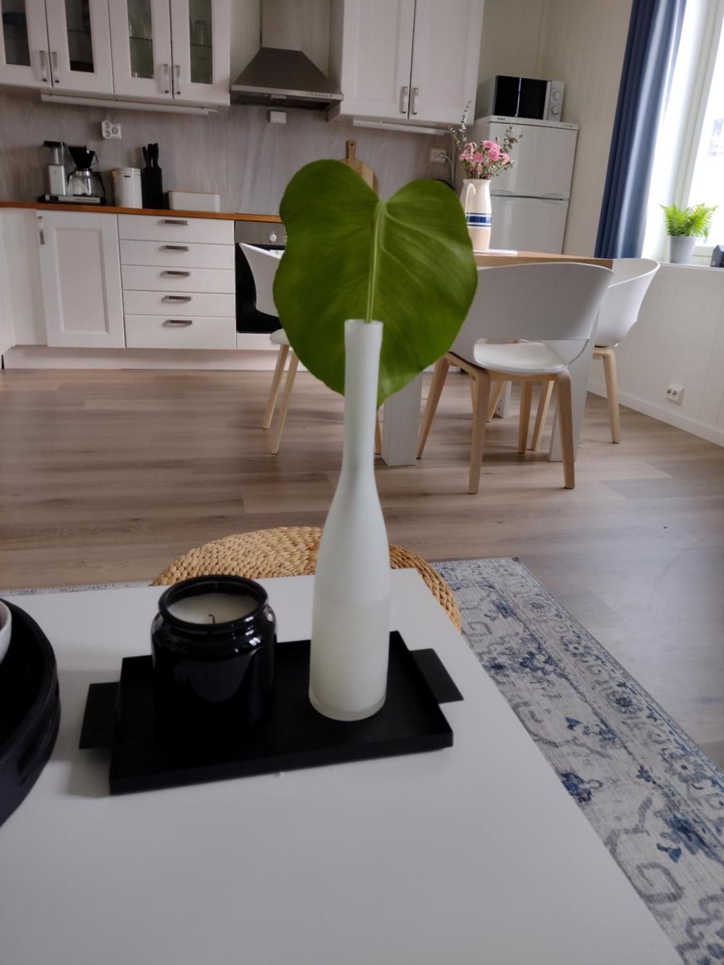 Light home apartment Alesund with free parking
