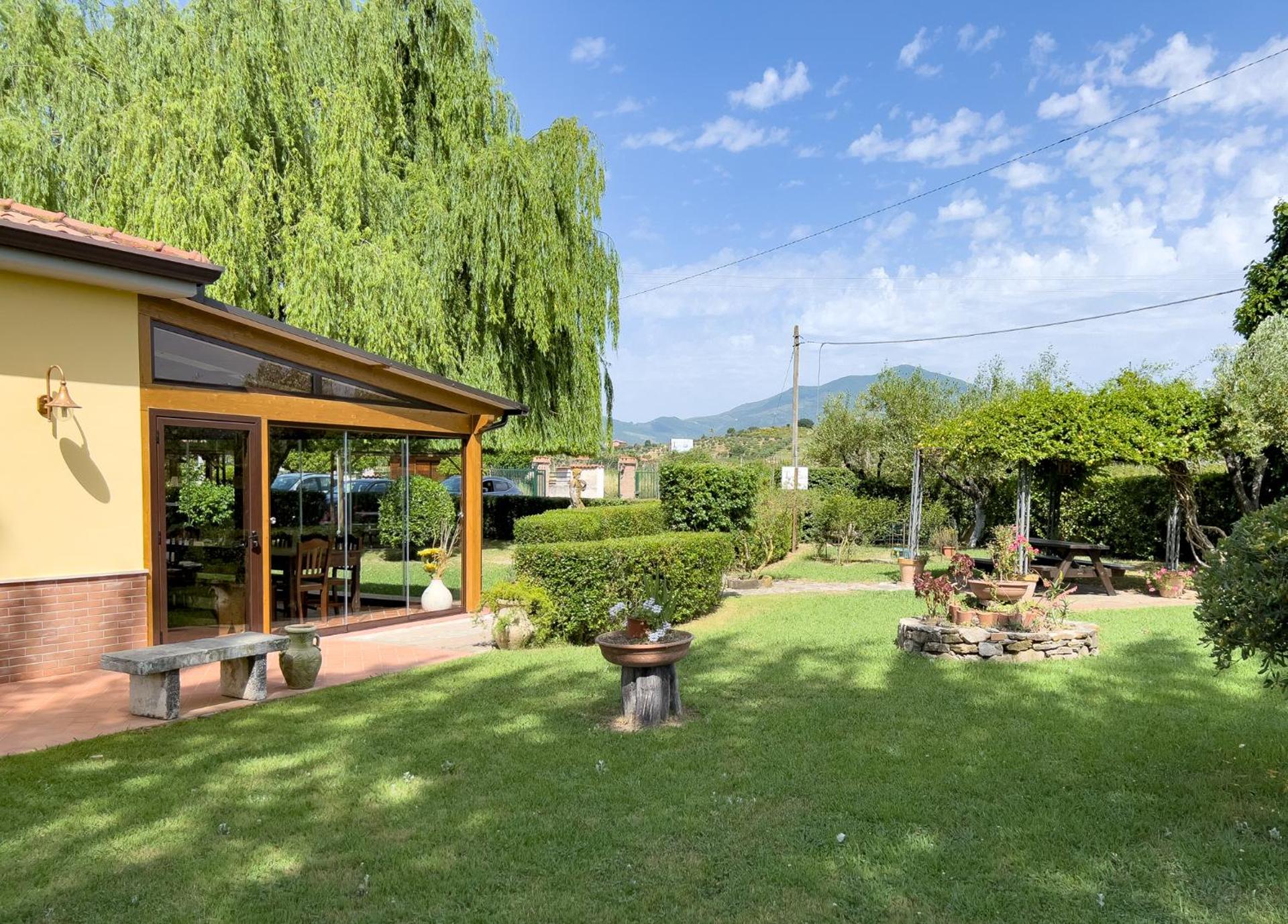 Agriturismo Terra Di Elea azienda agricola di Raimondo MIchela