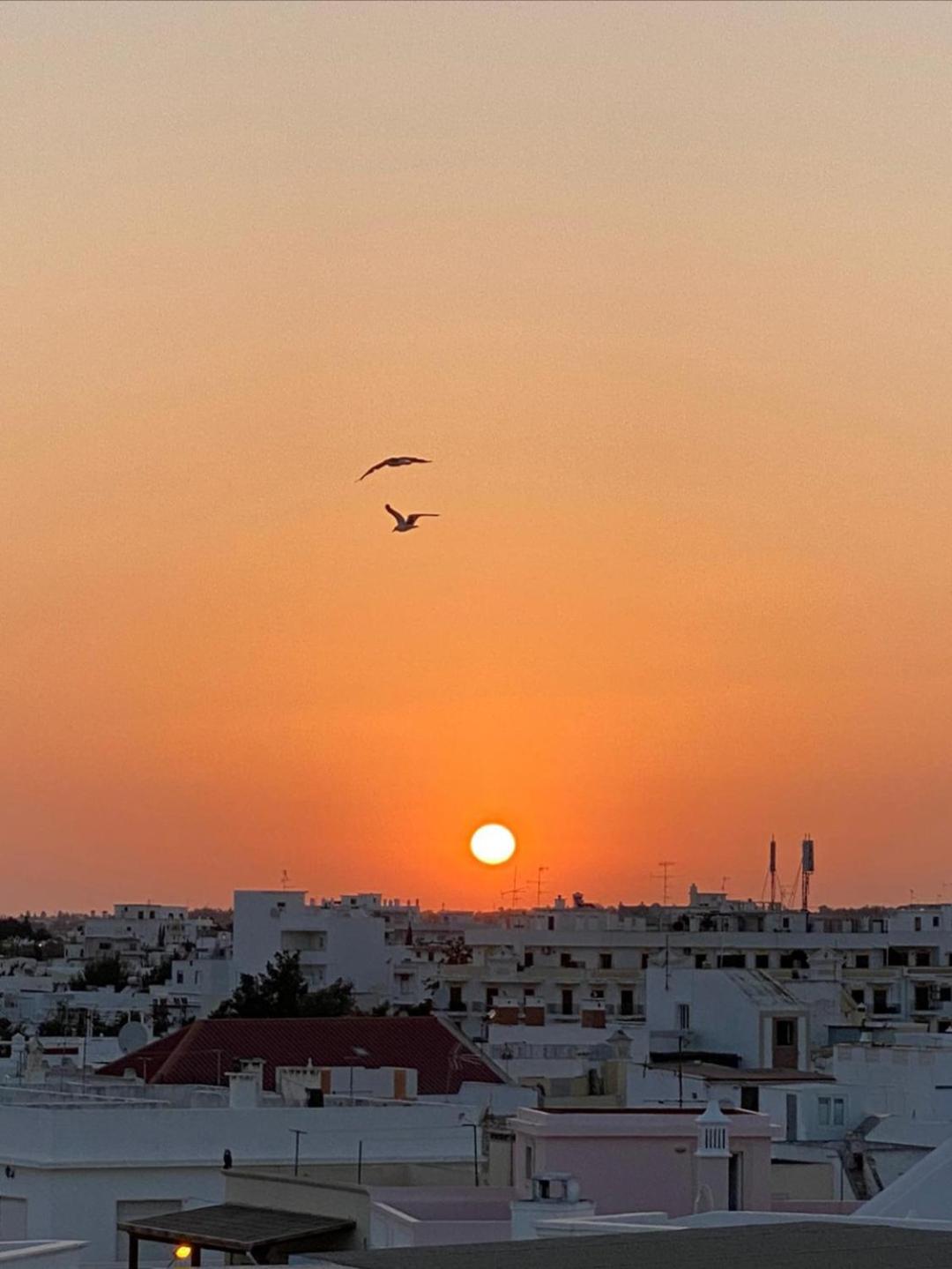 OlhãOmirante Guesthouse