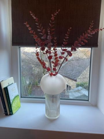 Sun Street Cottage - with log burner, jet bath and Summerhouse