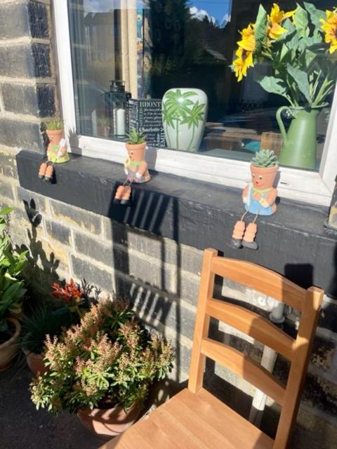 Sun Street Cottage - with log burner, jet bath and Summerhouse