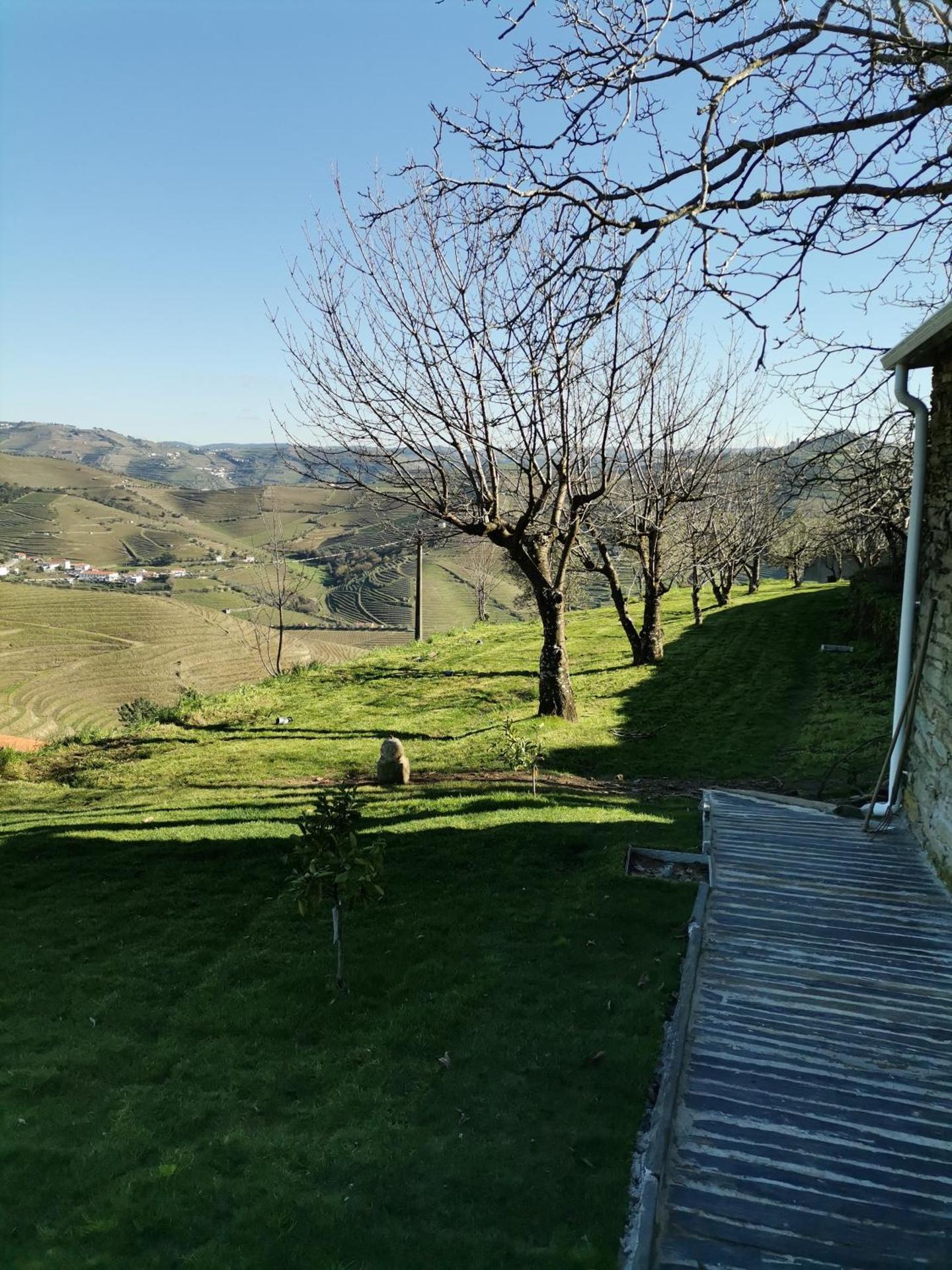 Quinta de Travassinhos- Douro Valley & Spa