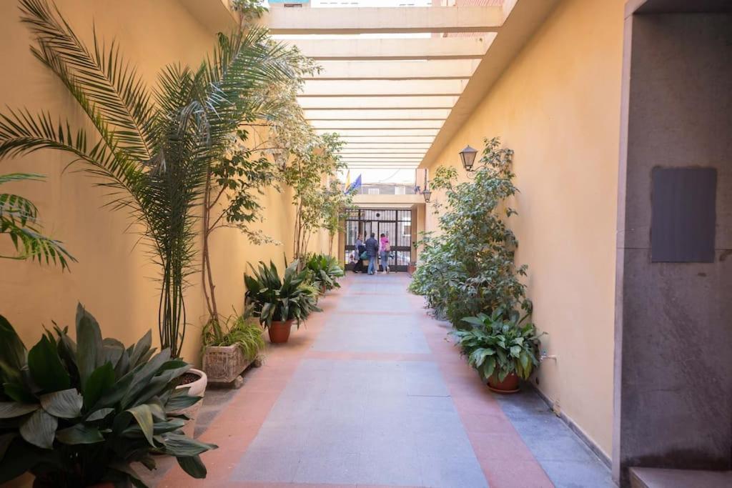 El Mirador de Chapina