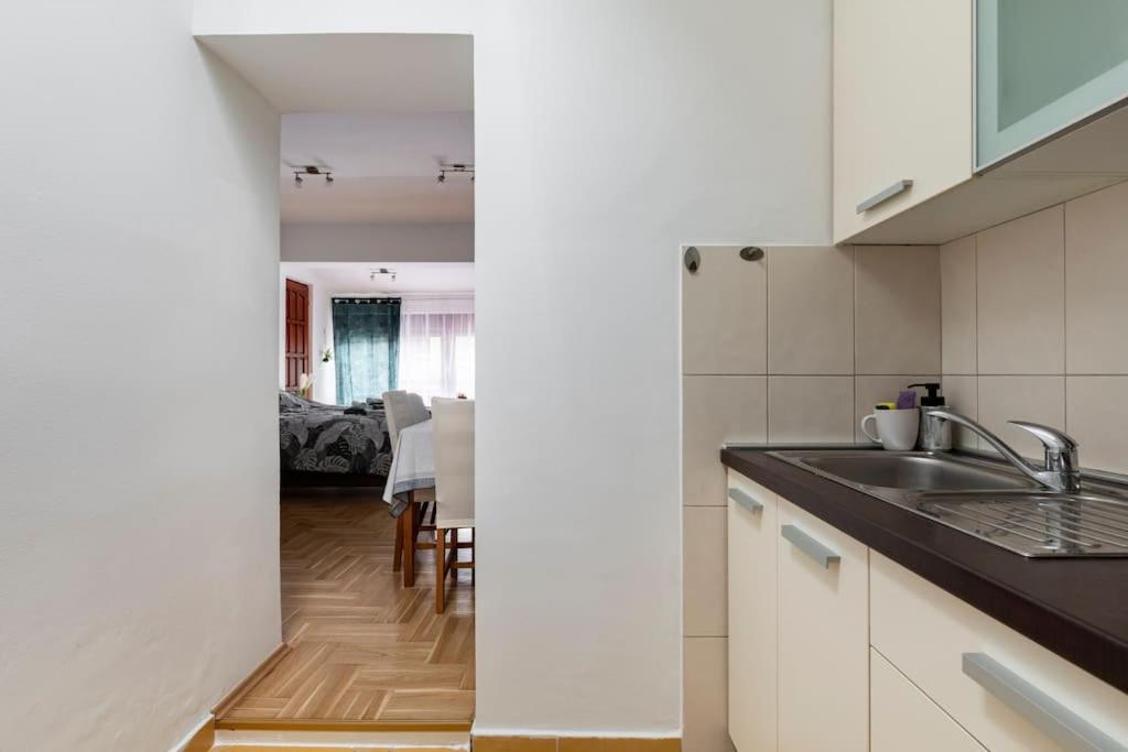 Warm house full of green ambient,joy and comfort