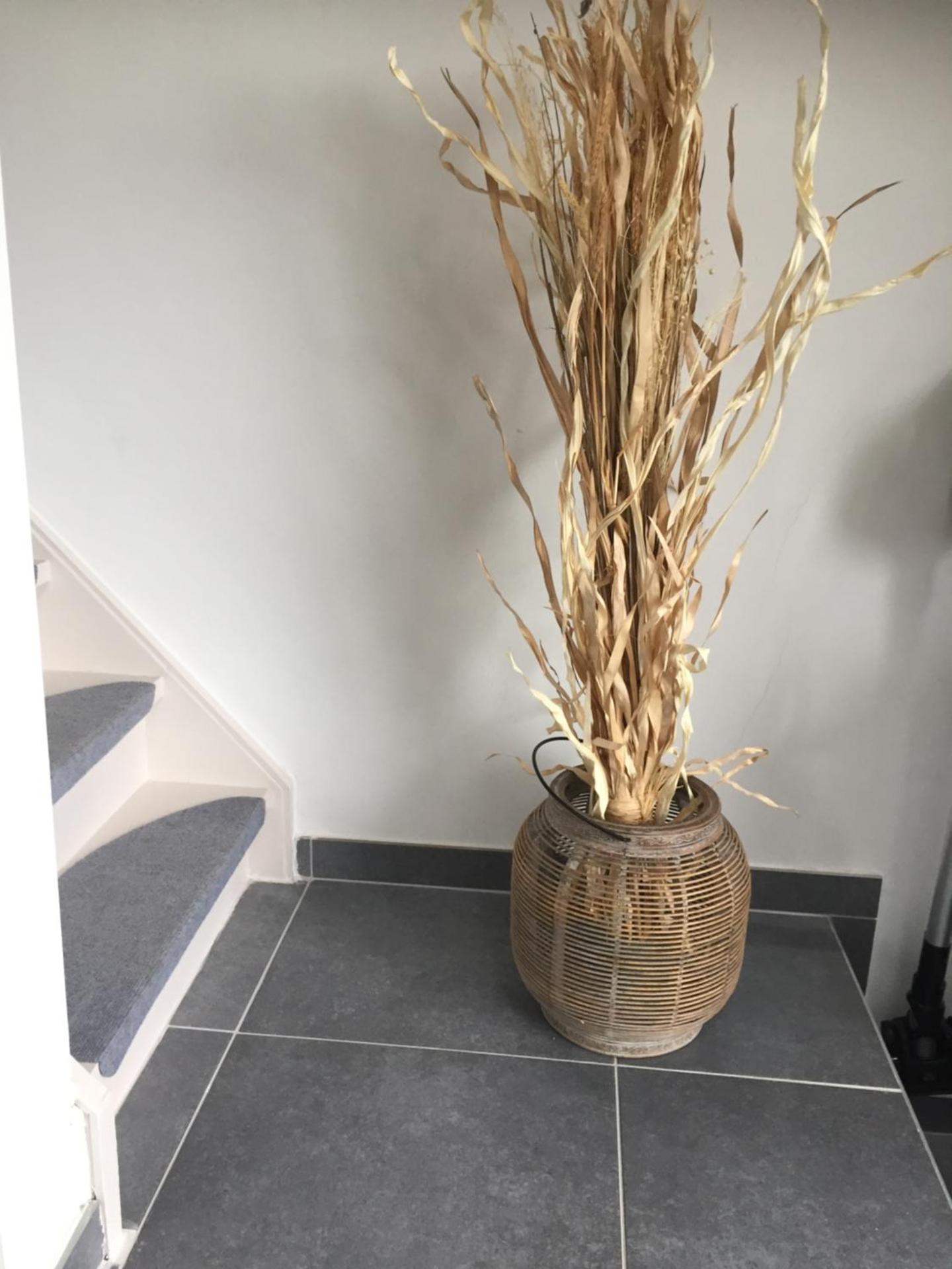 Les terrasses de Malmedy duplex 420