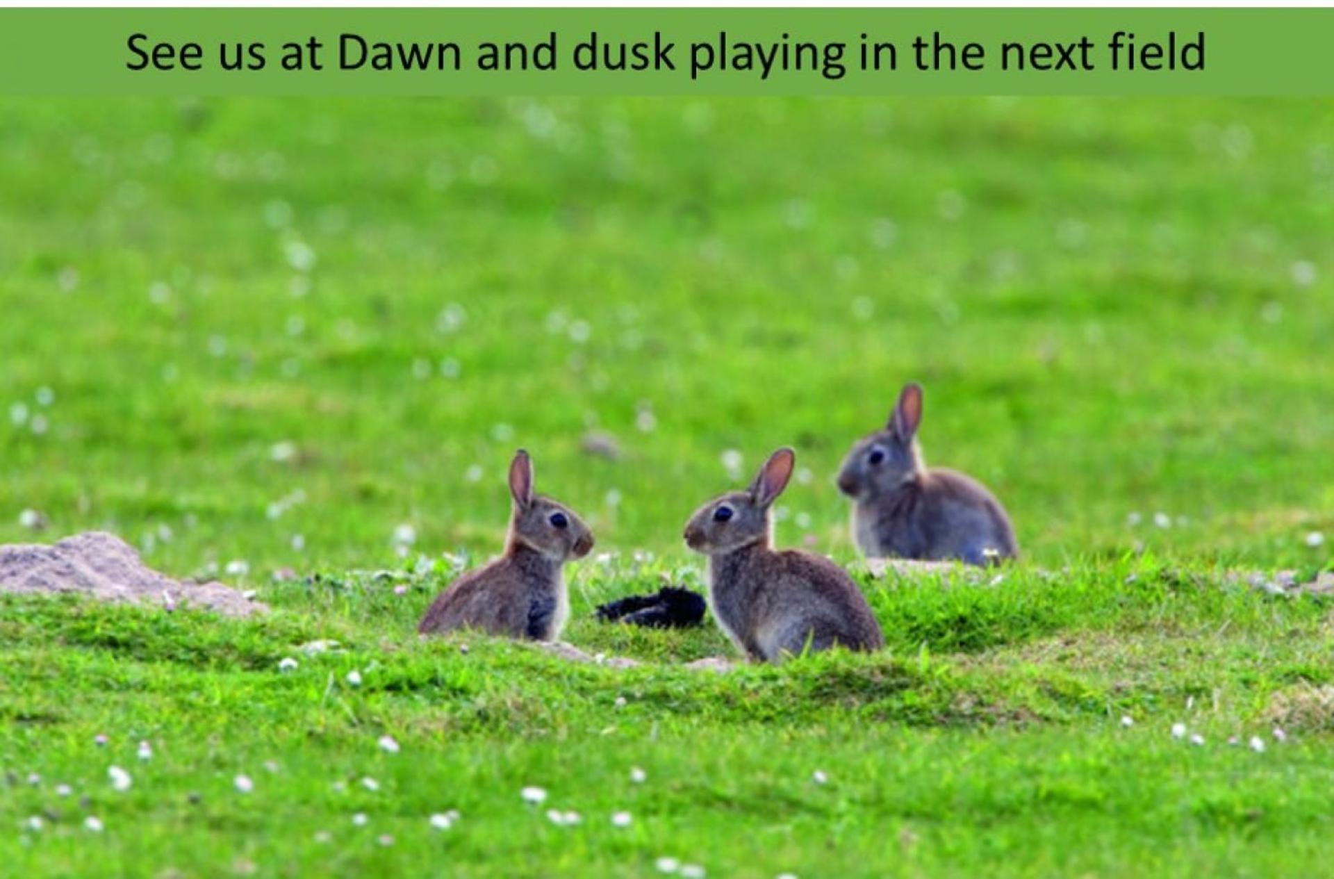 Forton House Shepherd's Huts