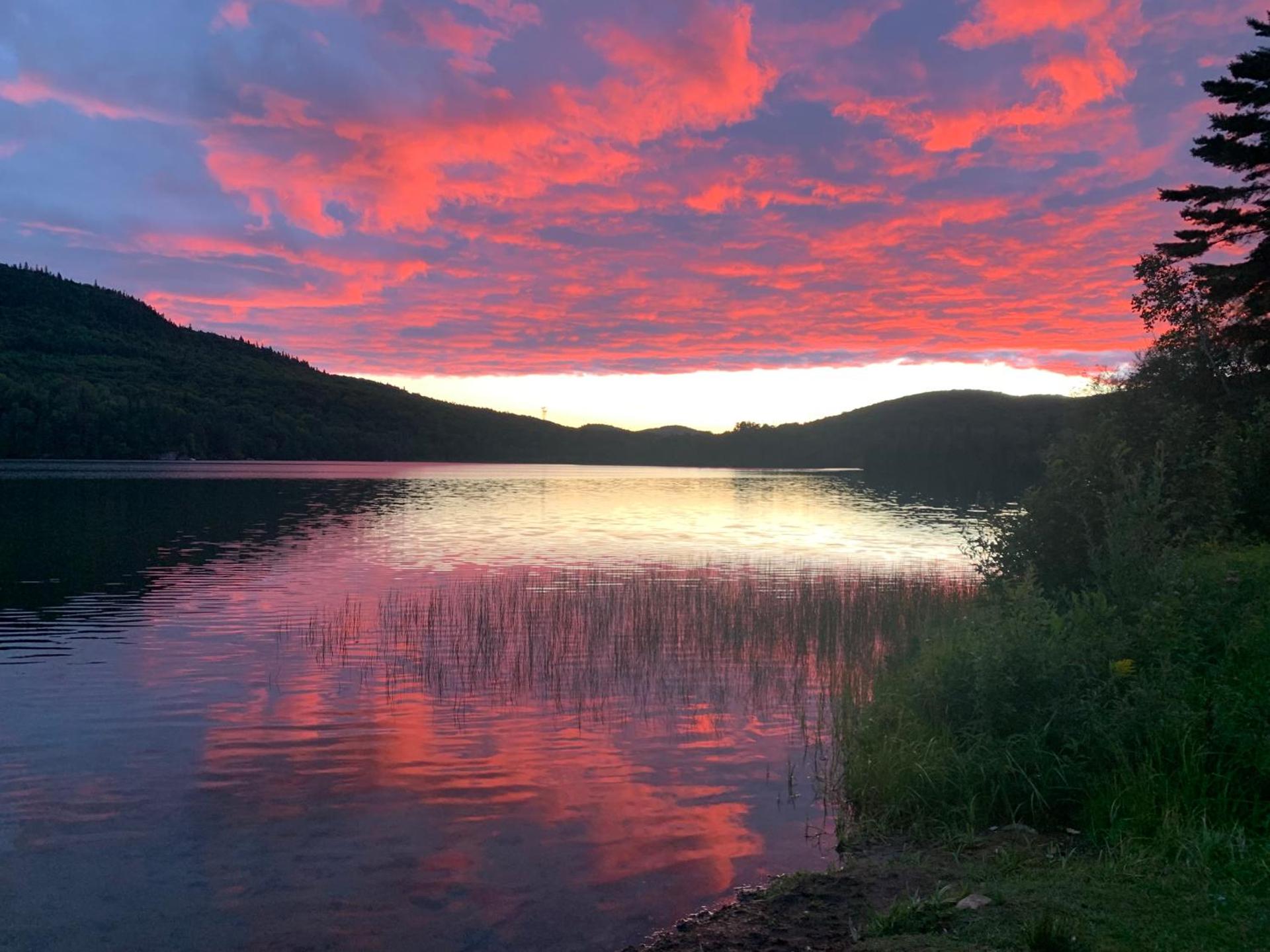 Micro maison le Nordik