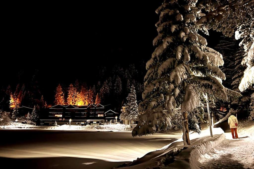Superbe appartement Champex-Lac avec piscine et sauna