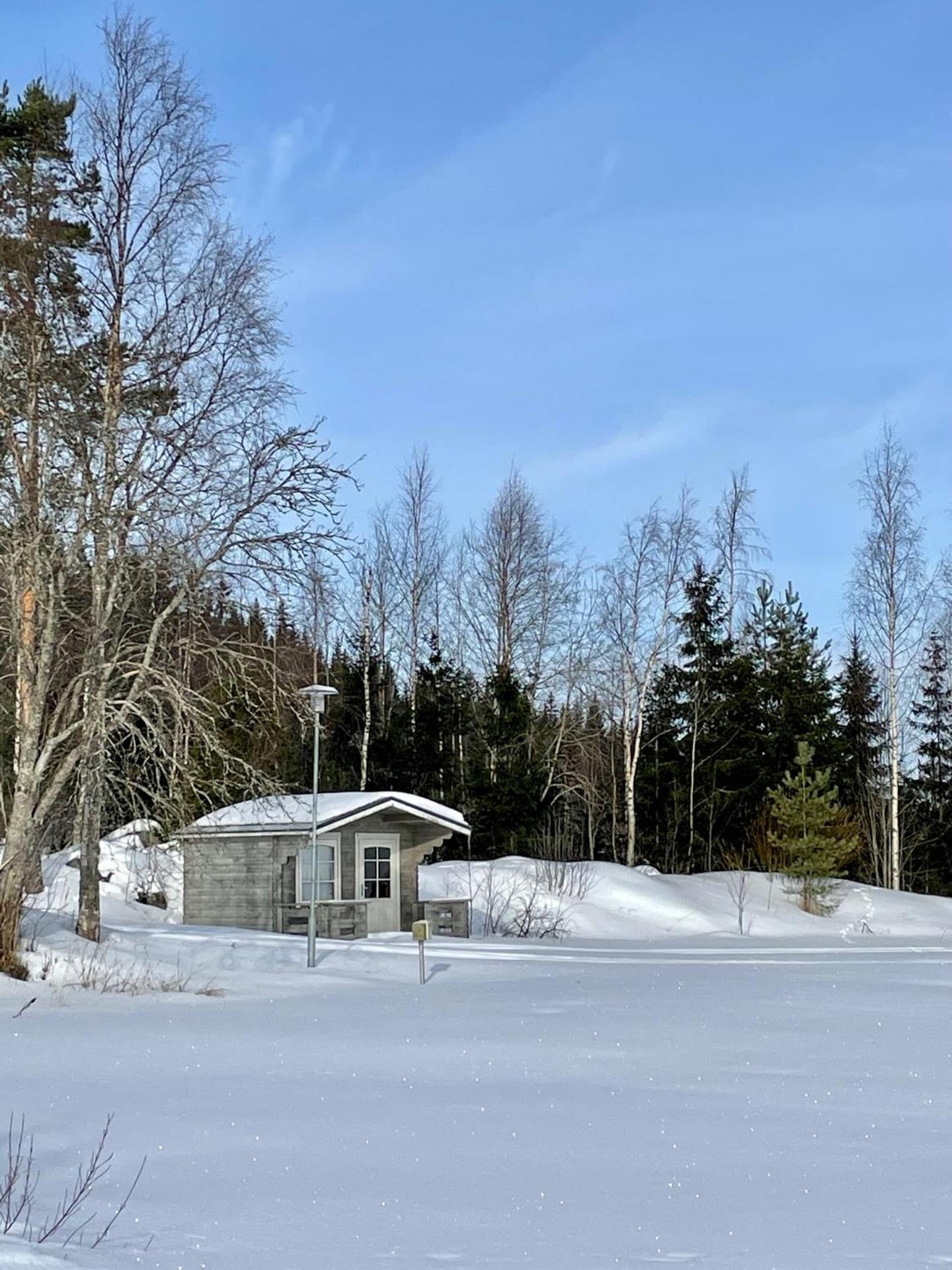 Lamminmäen Juhla ja Peti