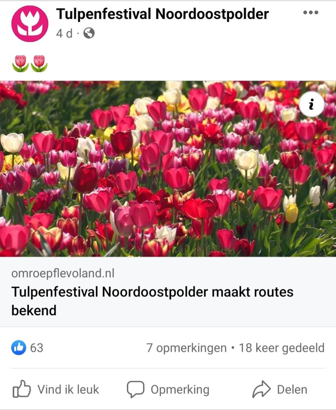 Vakantiehuis aan het Bos