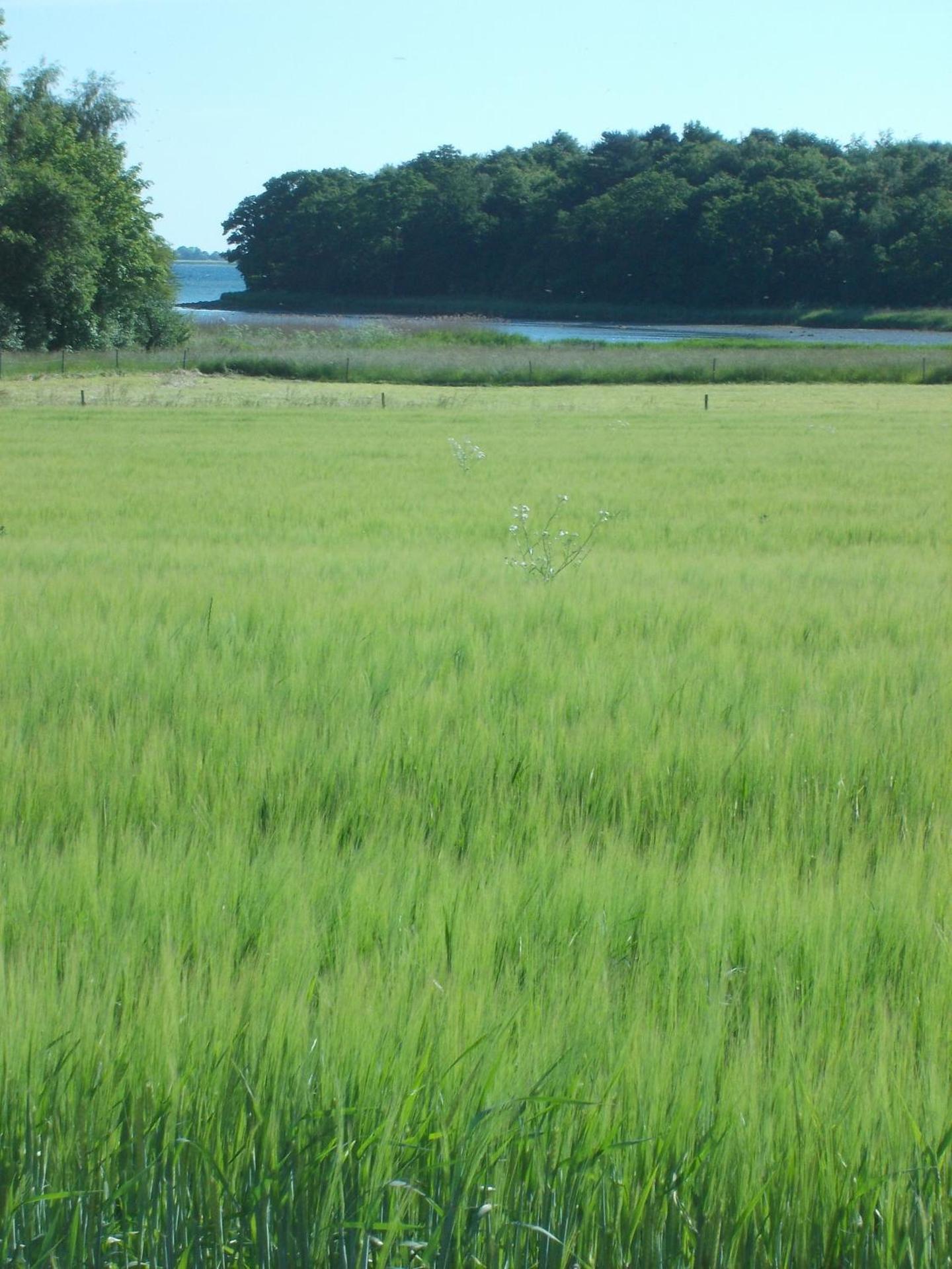 Paradiset Holiday House