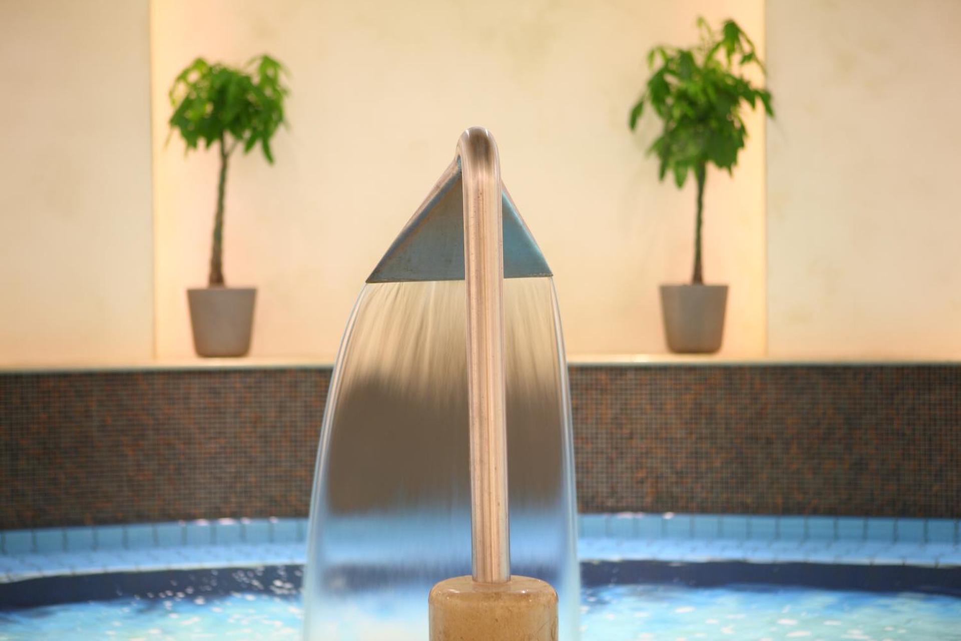 Spa and wellness centre/facilities