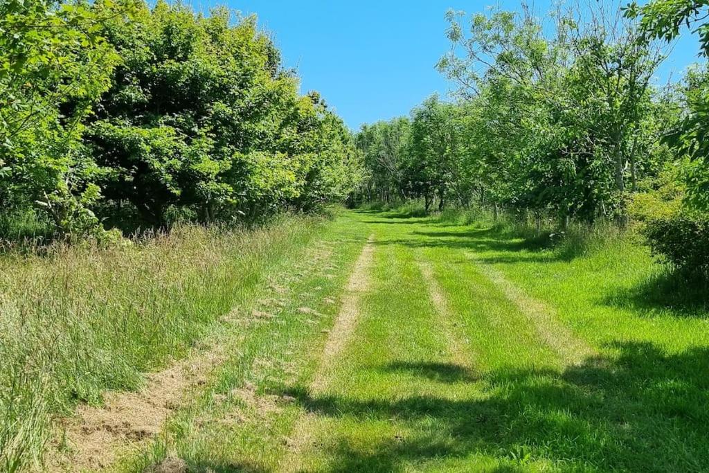 Hallegan Annexe with Private Garden and Woodland-Sofa Bed Only