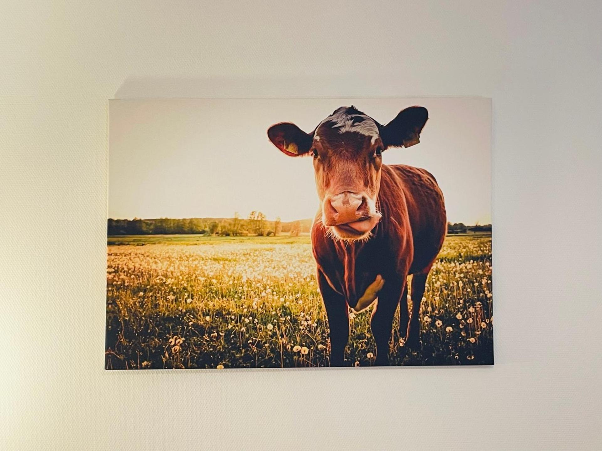 Altstadt Hotel Glockenhof