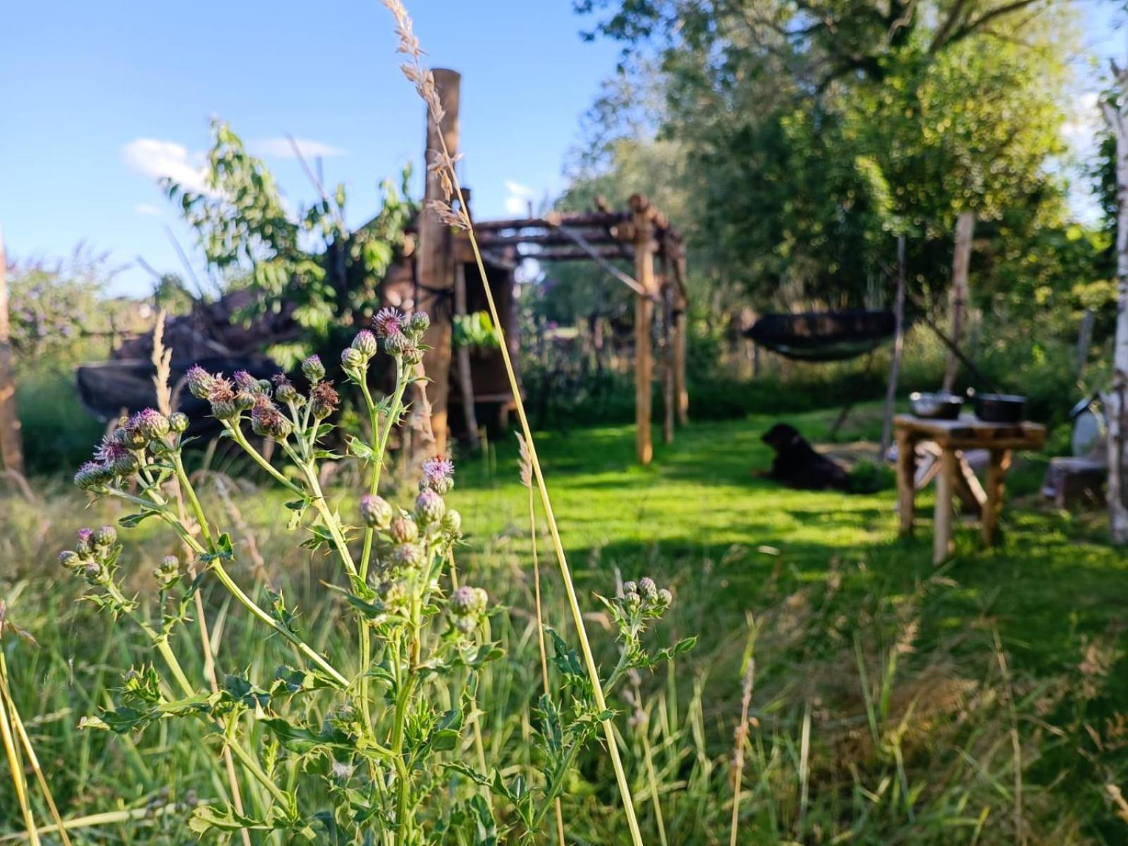 Au Pied Du Trieu, The Shelter