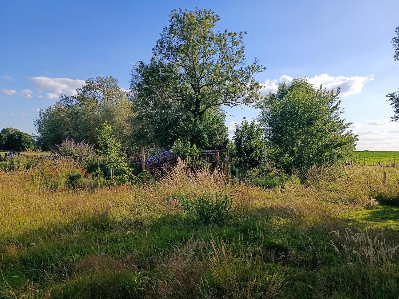 Au Pied Du Trieu, The Shelter