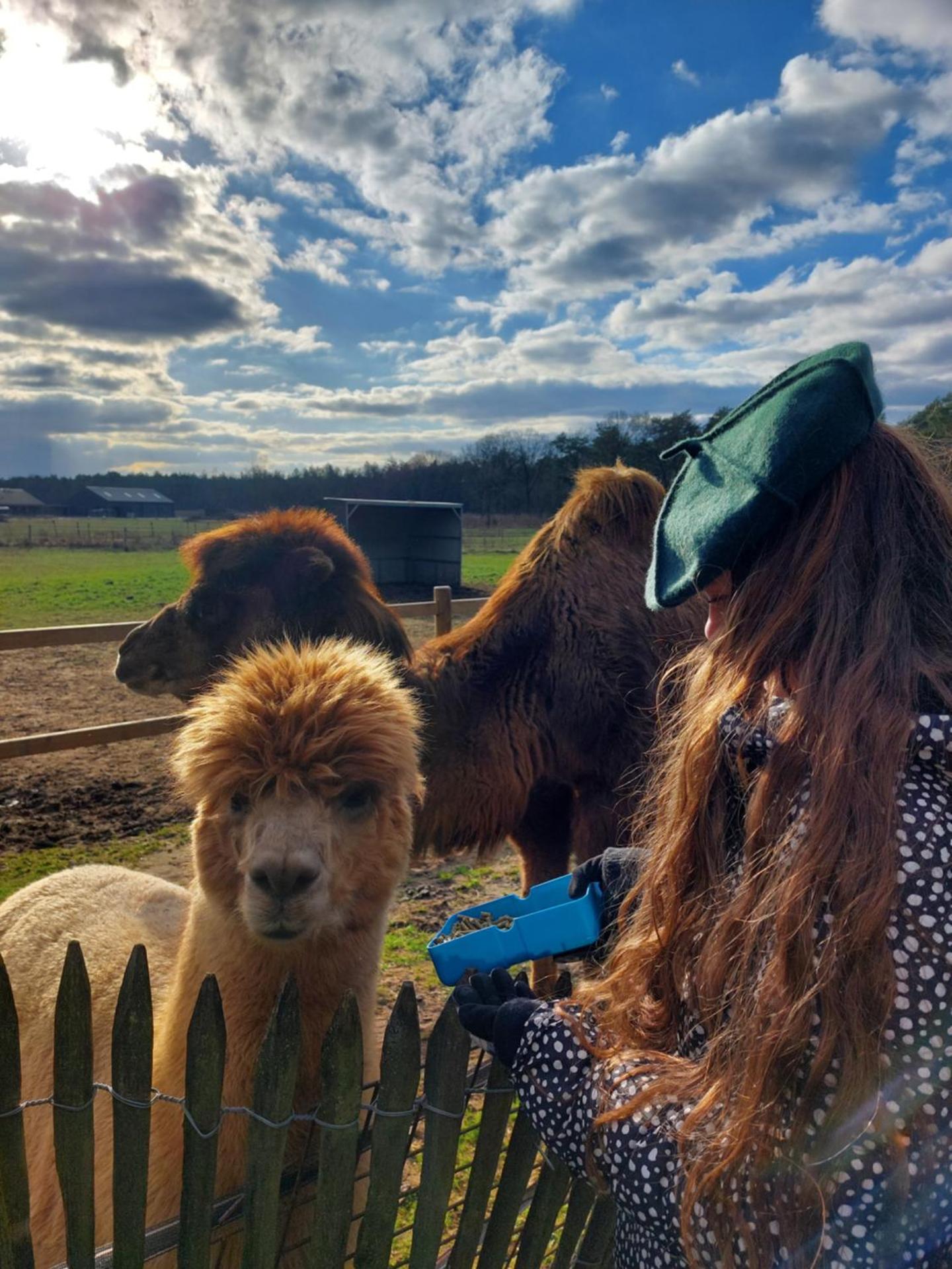 Luxe Finse Kota met Jacuzzi en SaunaBarrel de Zandhoef