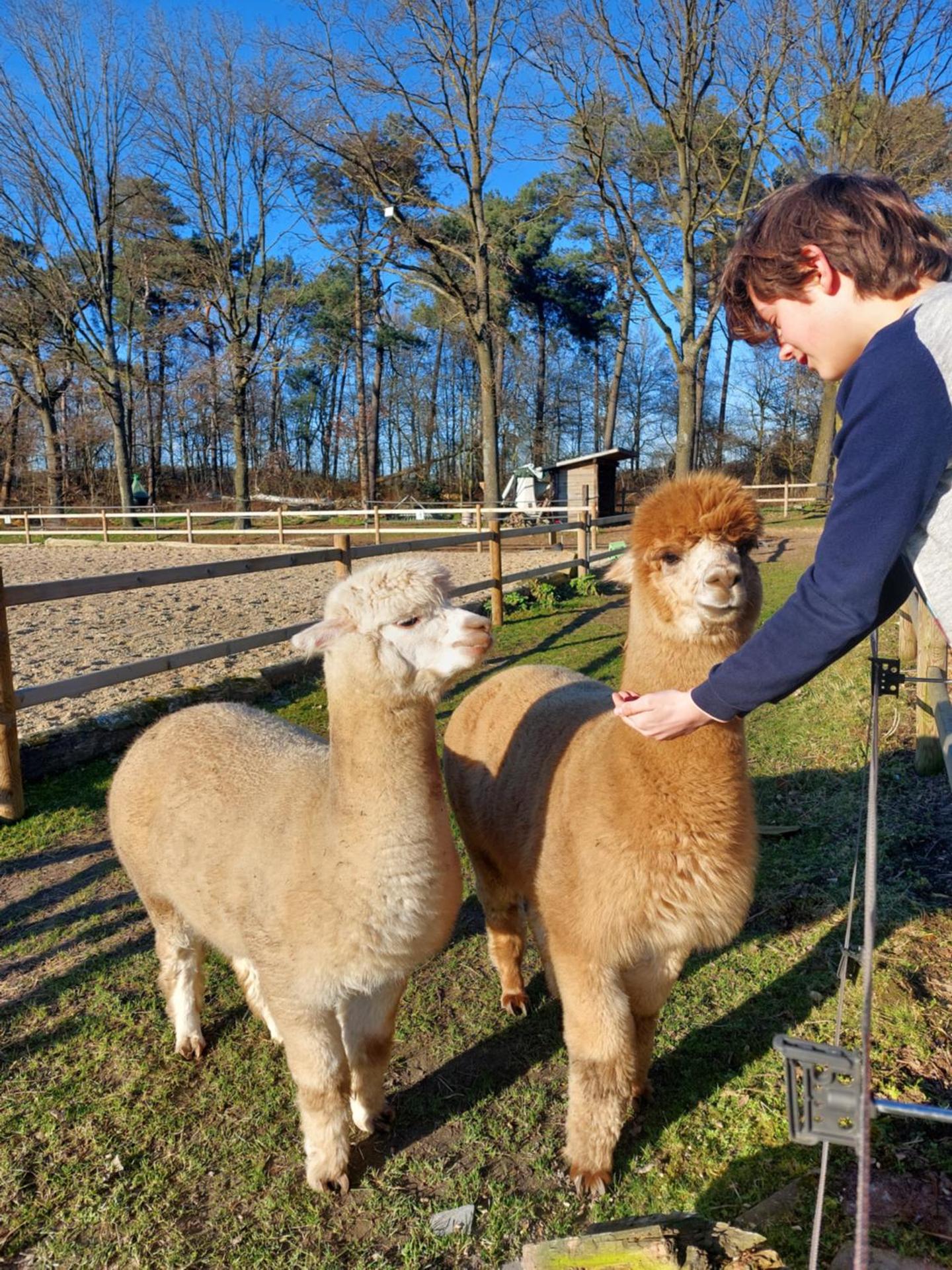 Luxe Finse Kota met Jacuzzi en SaunaBarrel de Zandhoef