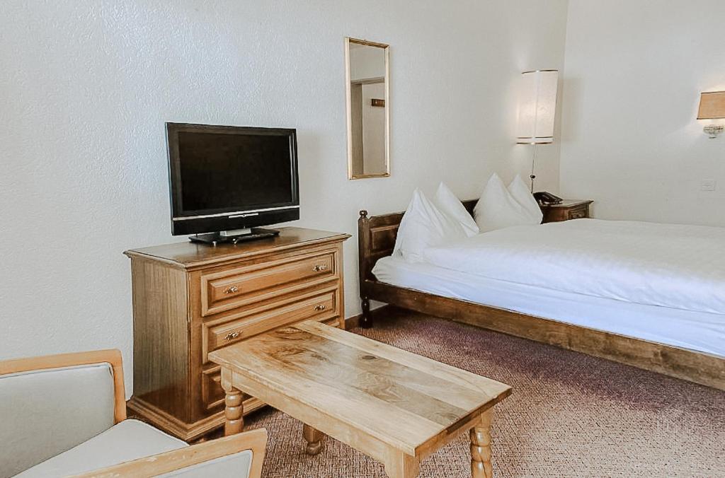 Standard Single Room with Balcony and Mountain View