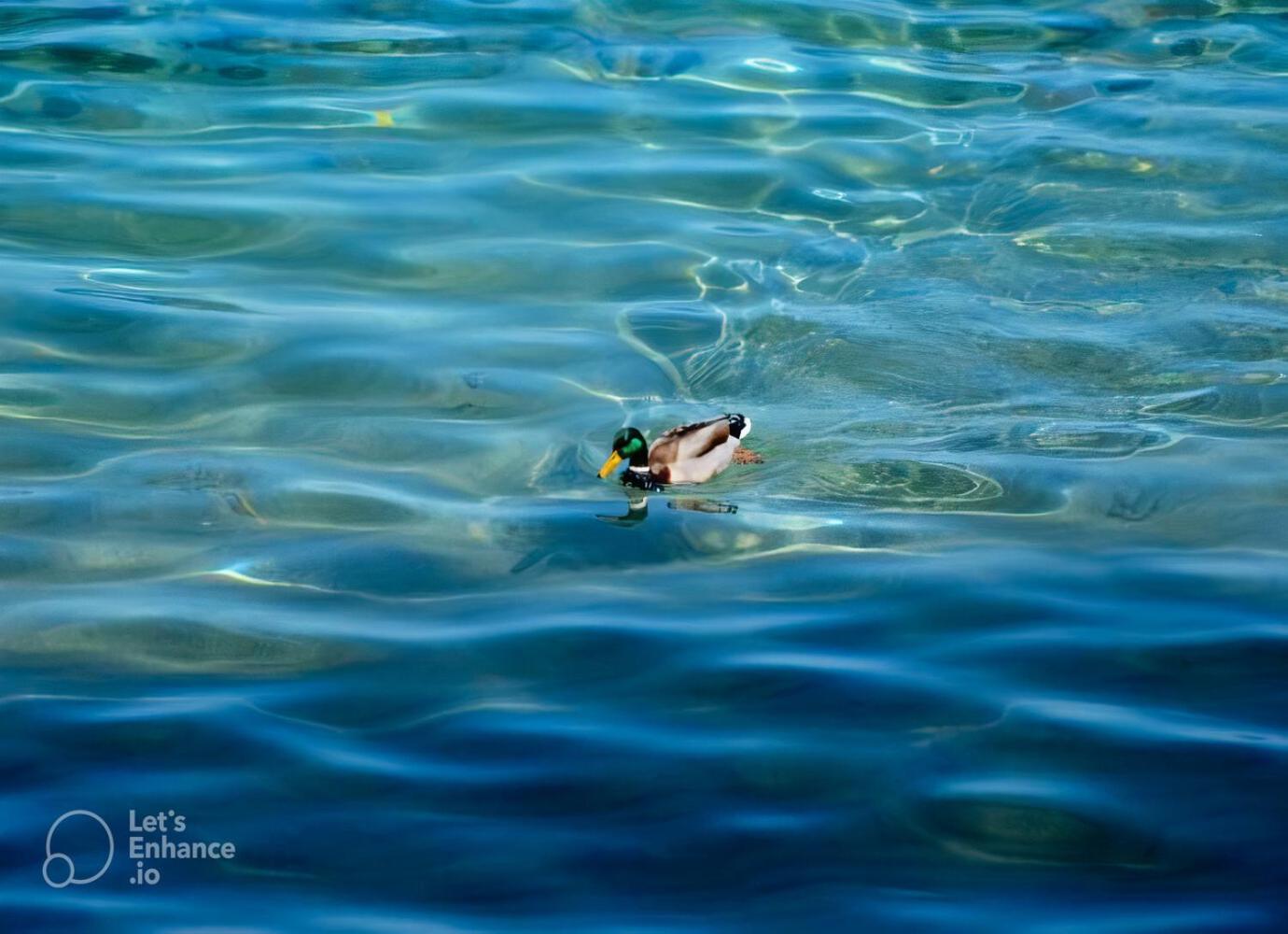 Maison en Duplex I Yvoire I Lac Léman I Médiévale