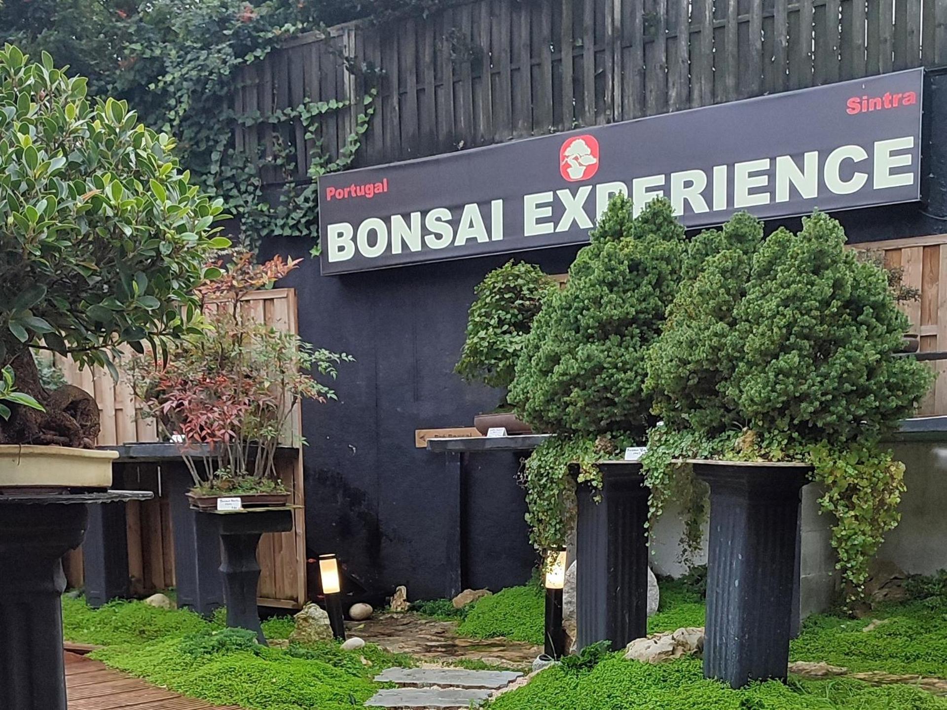 Zen Guest House - Museu do Bonsai