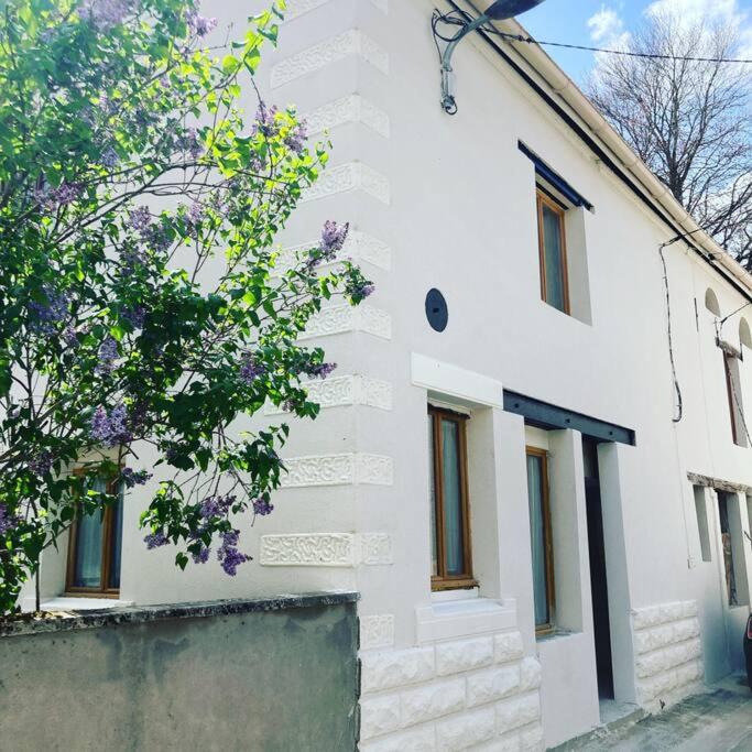 Les sorciers, la Diligence St Jean de Losne Escape game immersif