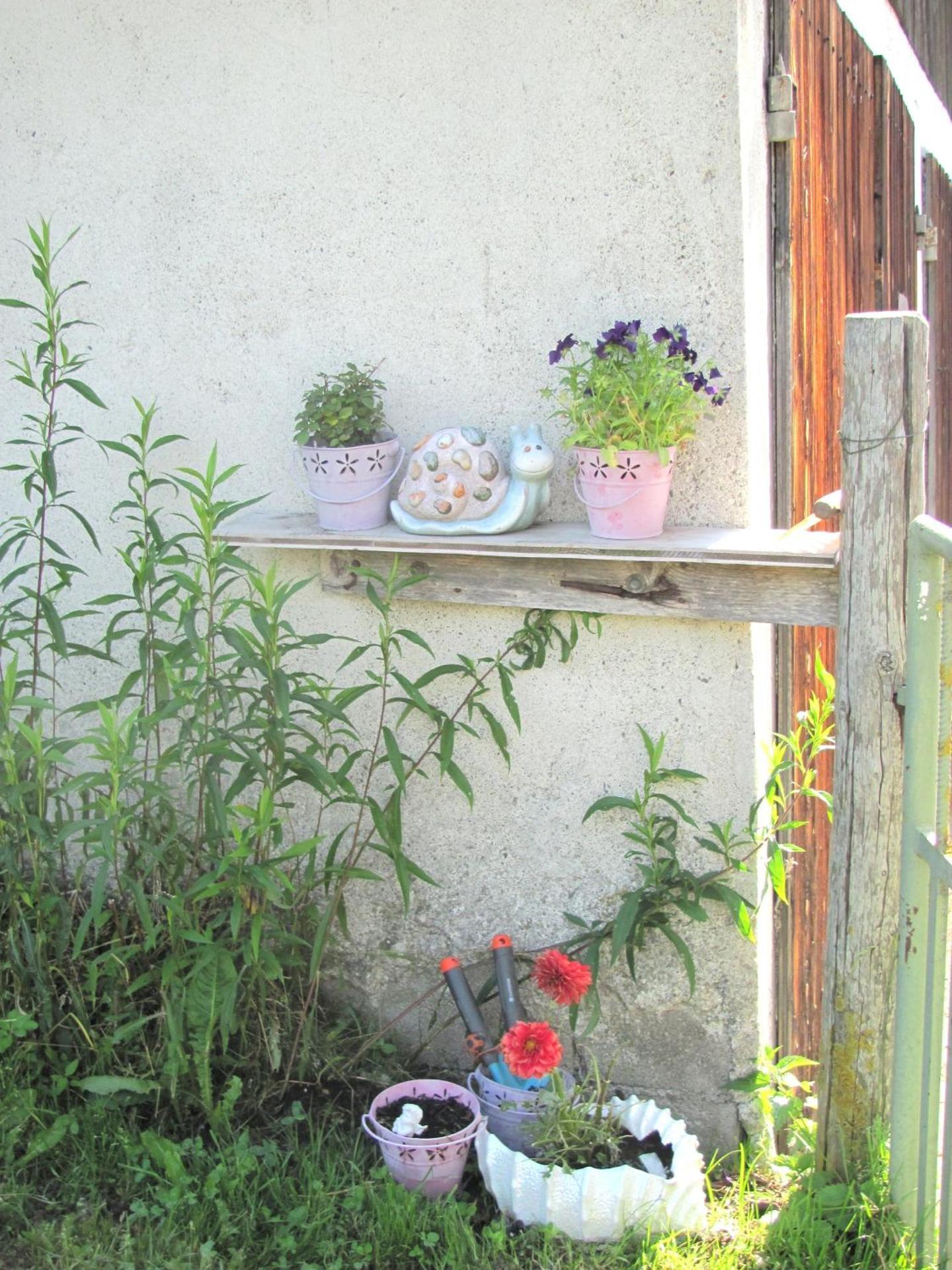 Libiseller Anita Unterhub