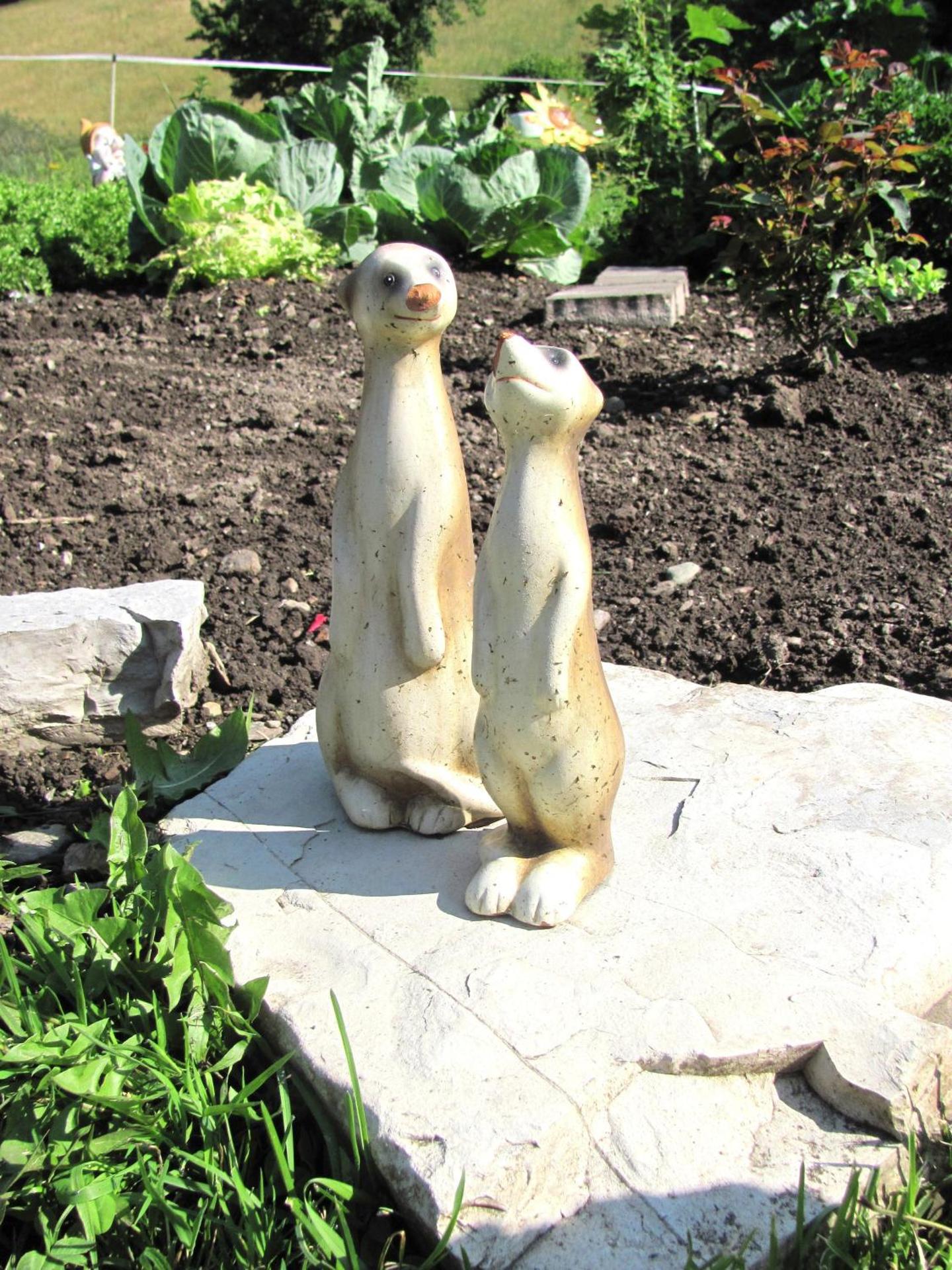 Libiseller Anita Unterhub