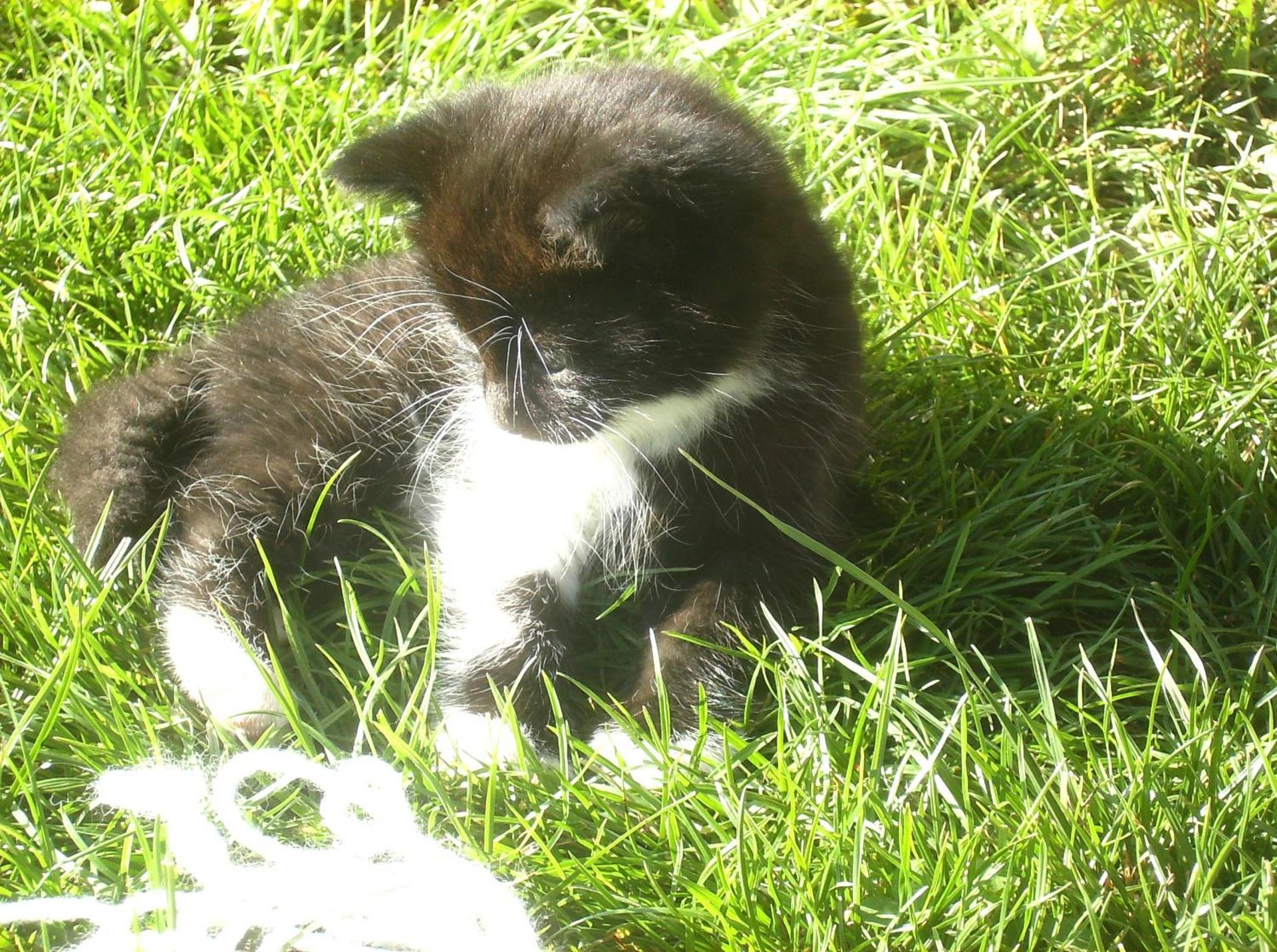 Libiseller Anita Unterhub