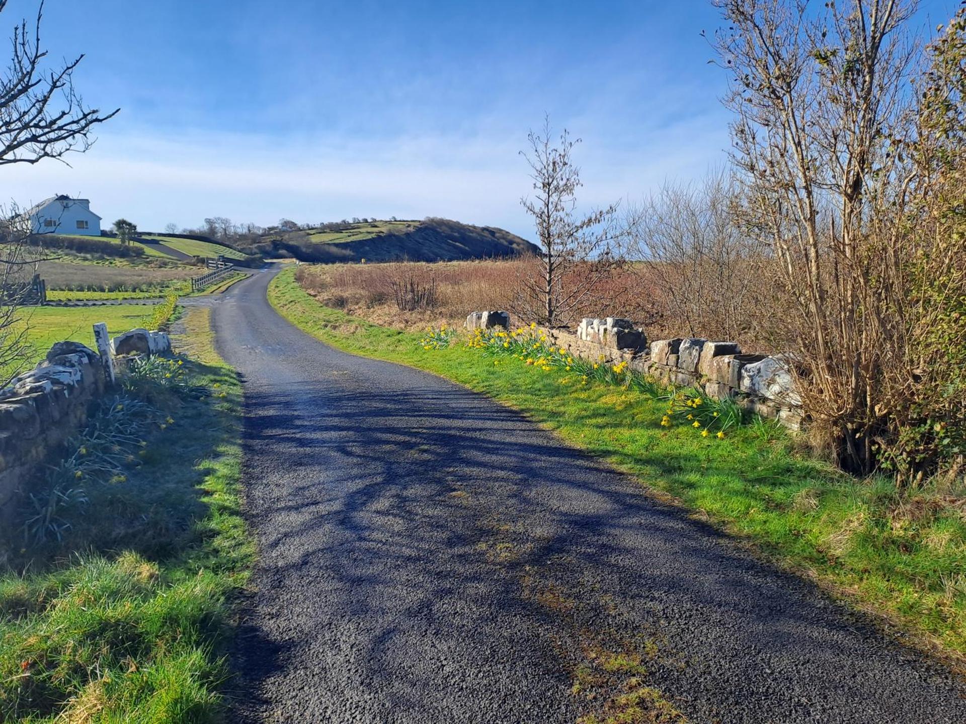 Blaneys Coastal Cottage