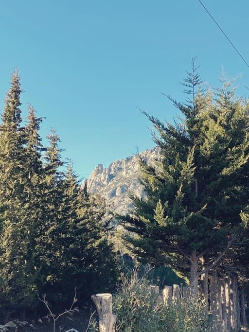 Maison de campagne dans un domaine viticole