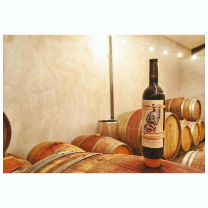 Maison de campagne dans un domaine viticole