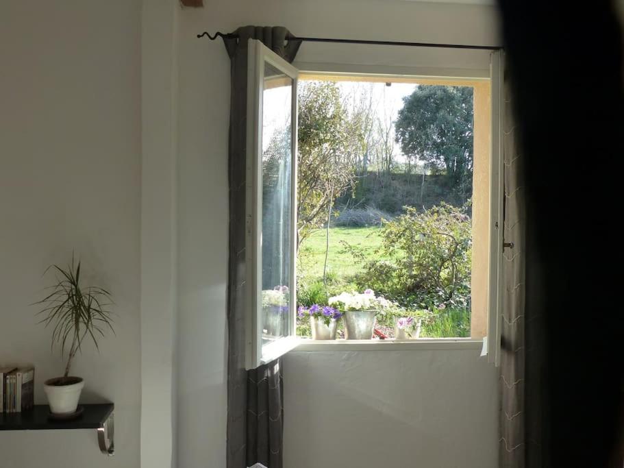 Campagne de Saint Clair