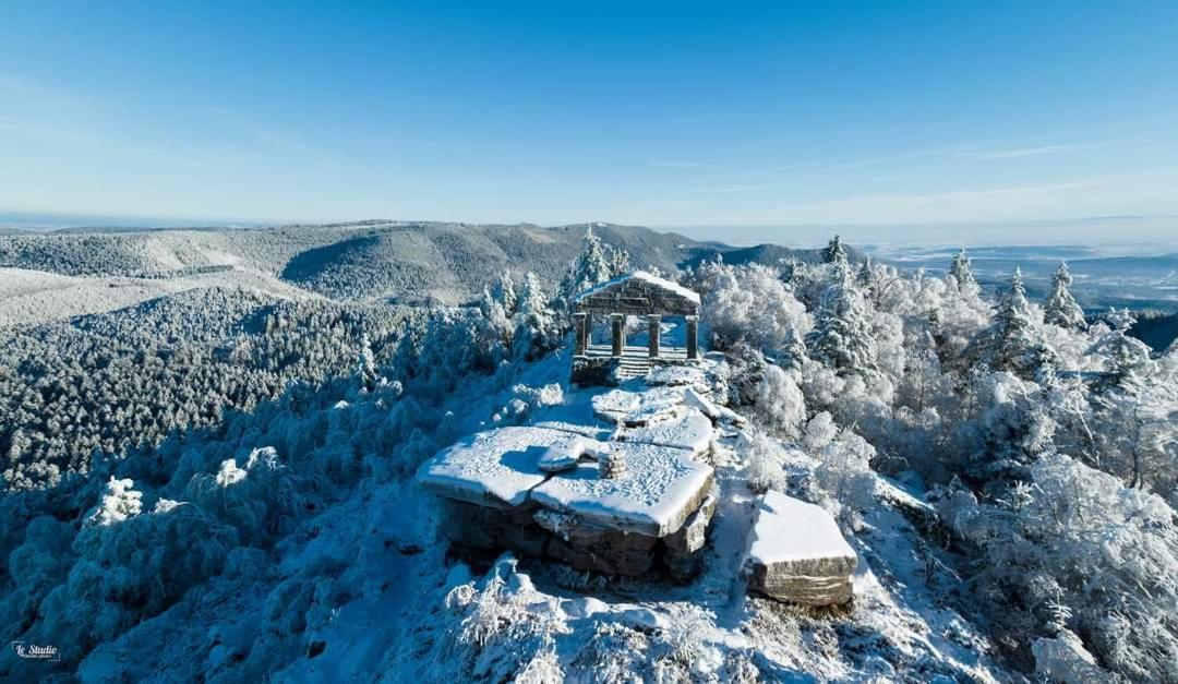 gîte de rarounette au cœur des Vosges