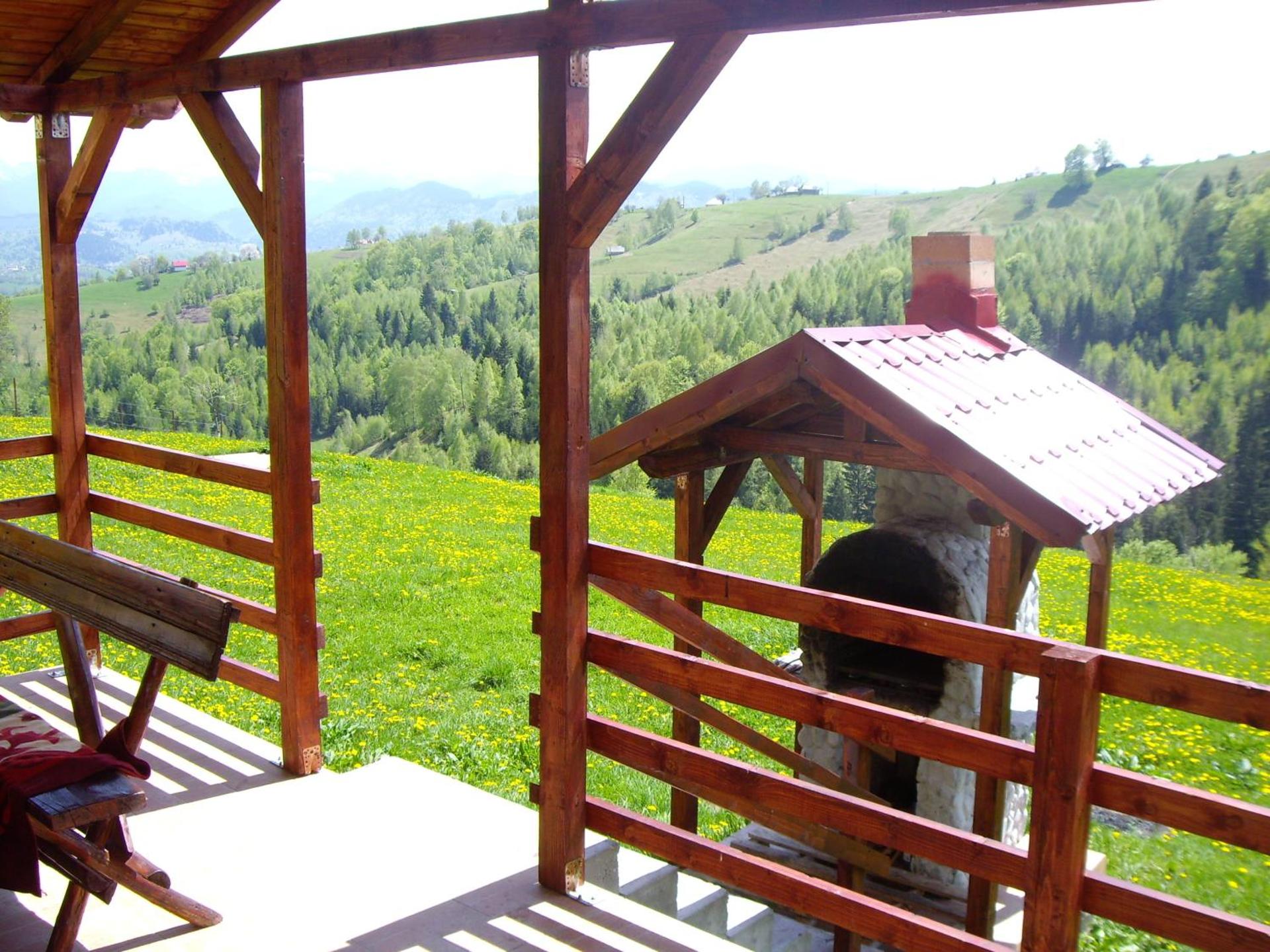 Garofita Pietrei Craiului