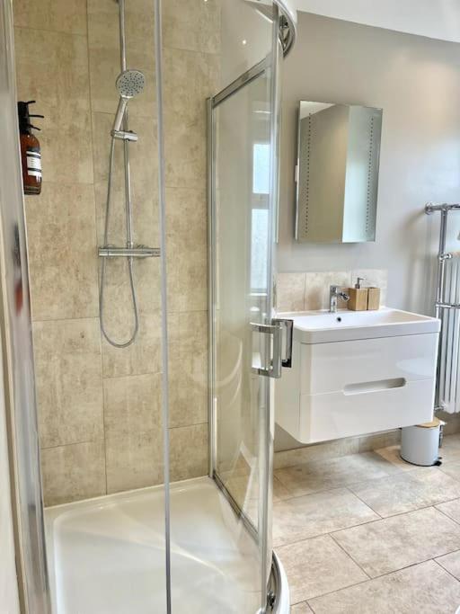 Spacious Modern Victorian House in Rochester