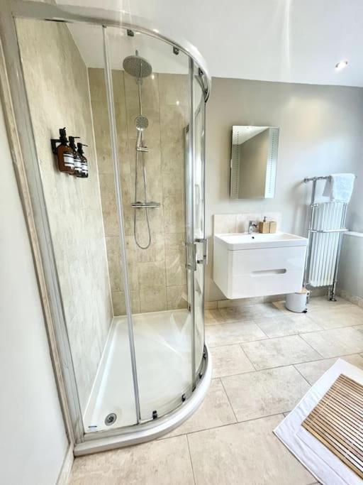 Spacious Modern Victorian House in Rochester