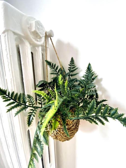 *L’appart d’Éden* au coeur de vichy