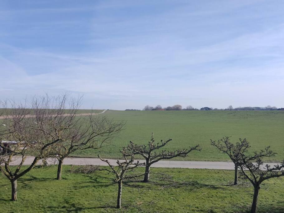 Erholung auf der Deichschäferei mit Deichblick