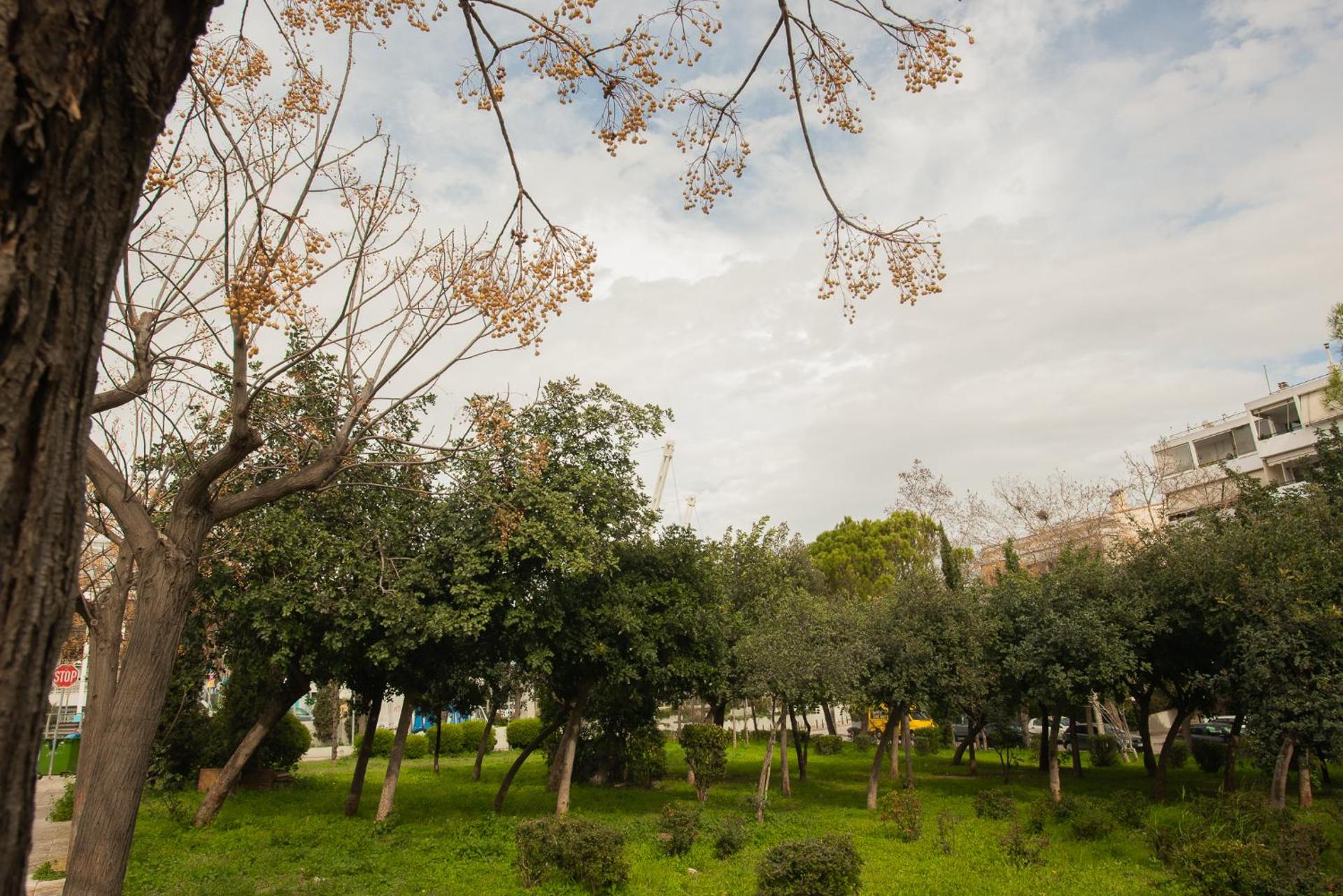 Garden-view apartment, Marousi