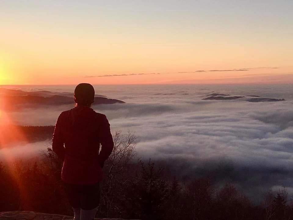 gîte de rarounette au cœur des Vosges
