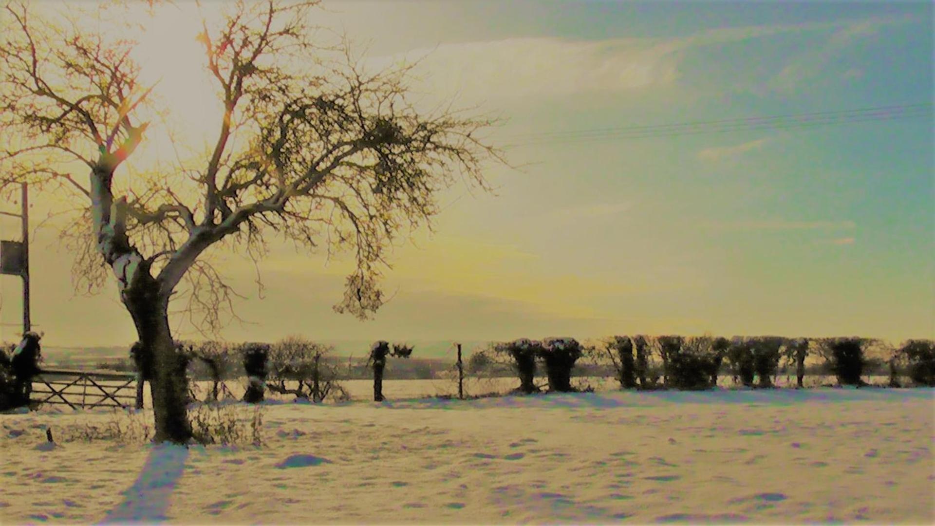 the abberton shepherds hut