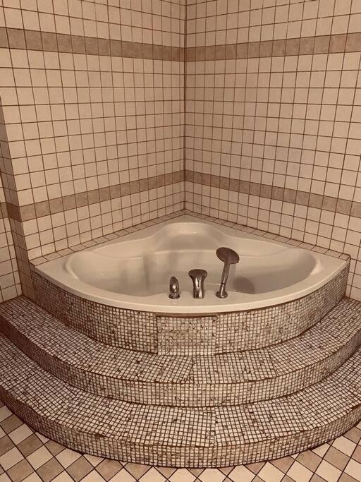 soukromý apartmán Přemysl