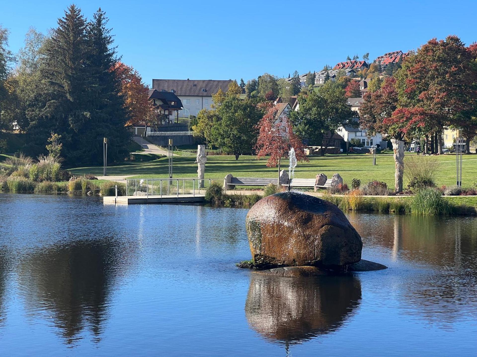 Apartment Schwarzwald-Anni Pool Tennis Sauna