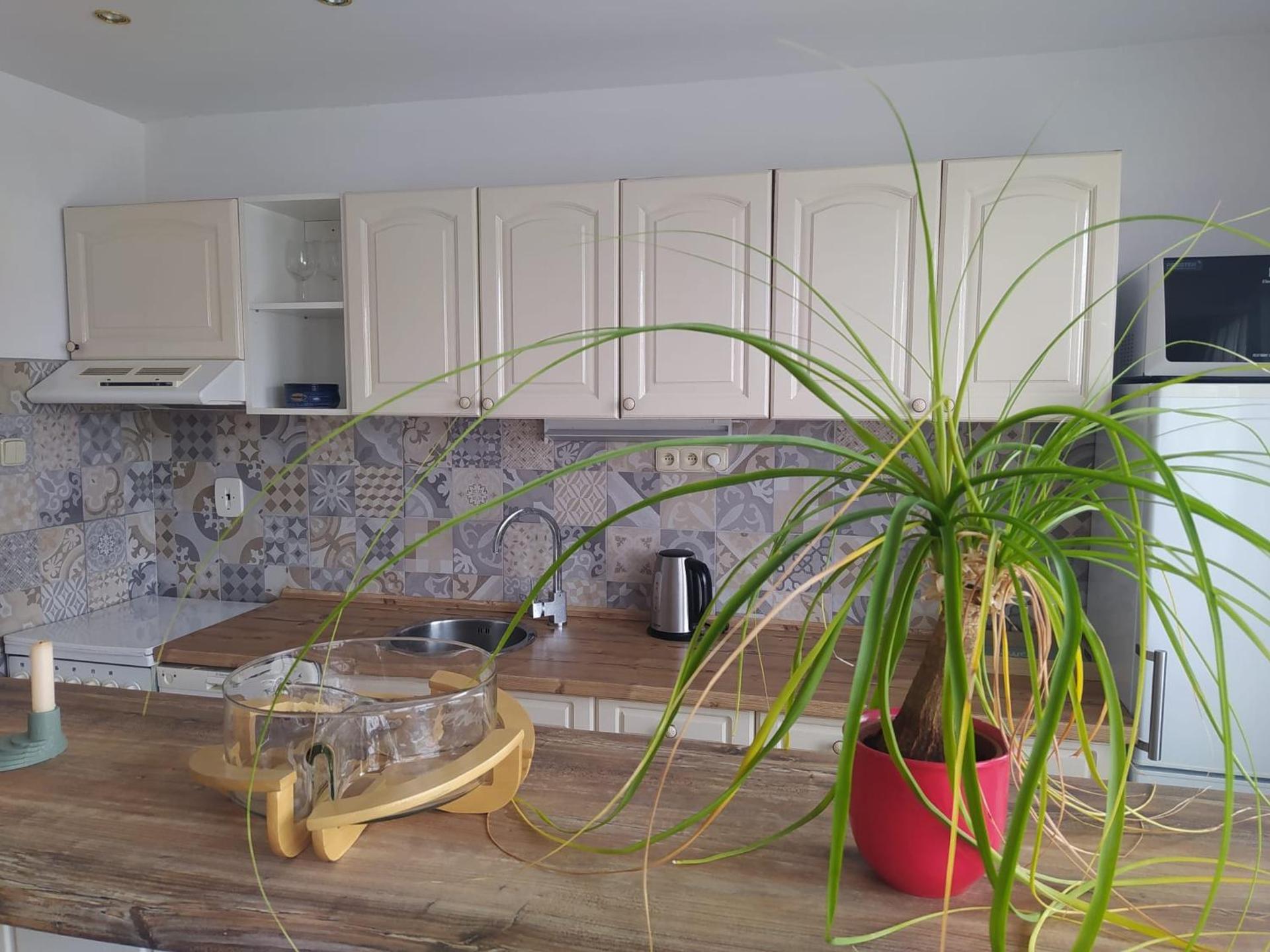 Apartmán se zahradou v Protivíně