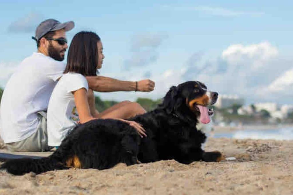 Casa frente al mar en Miami Playa 2hab