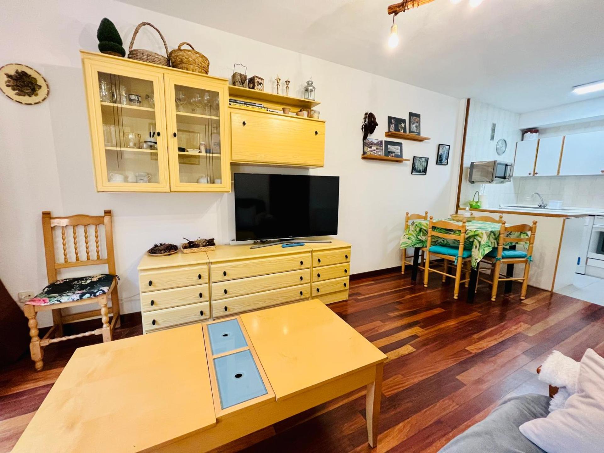 El refugio de la ardilla, apartamento Canfranc-estacion