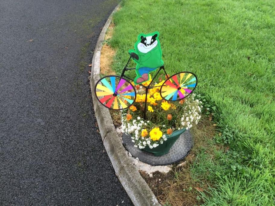 Fermanagh lakeside Self Catering