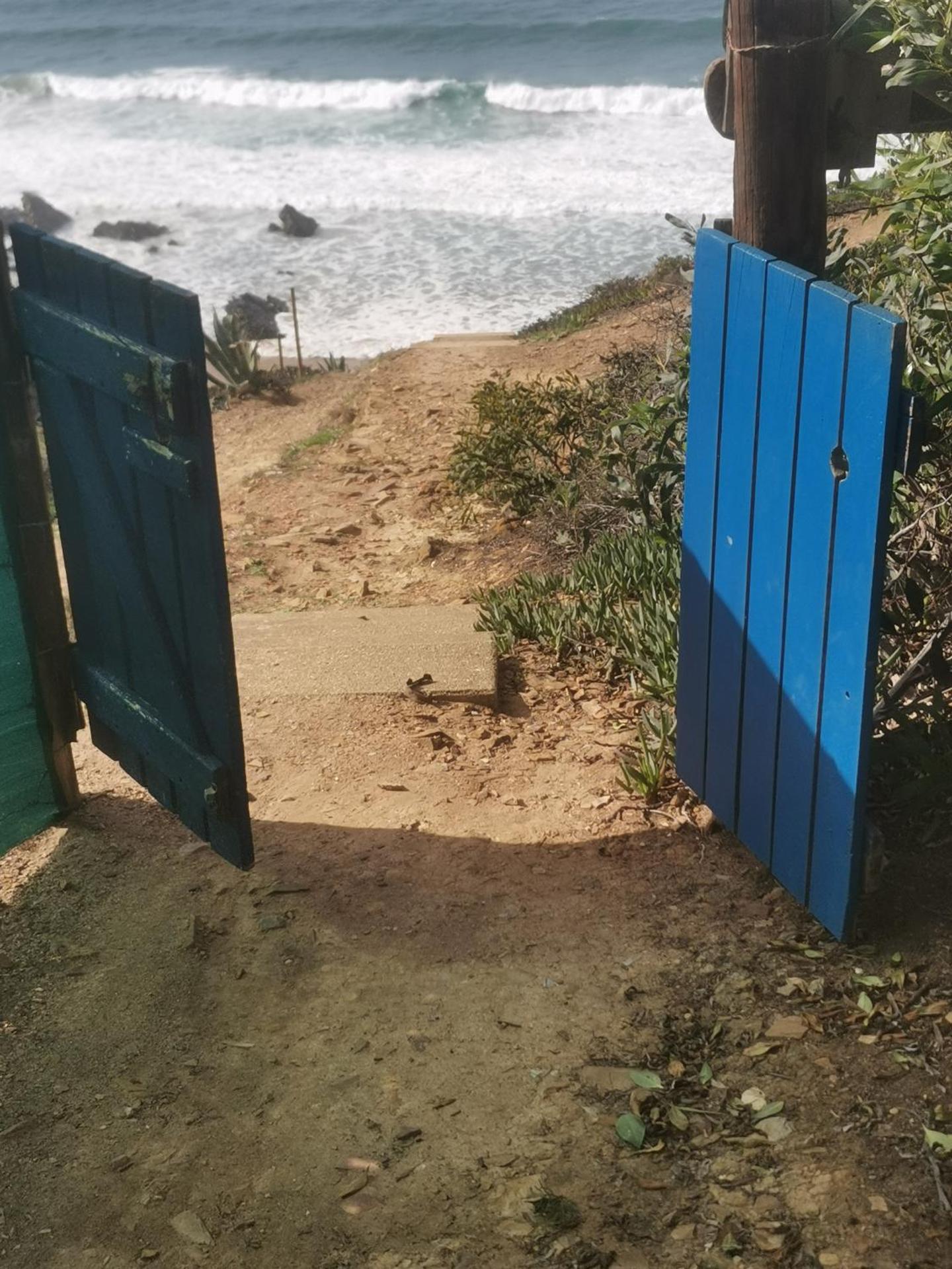 Studio with Garden View