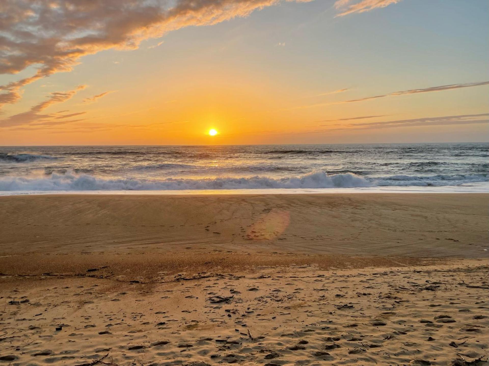 Aux bonheurs Landais